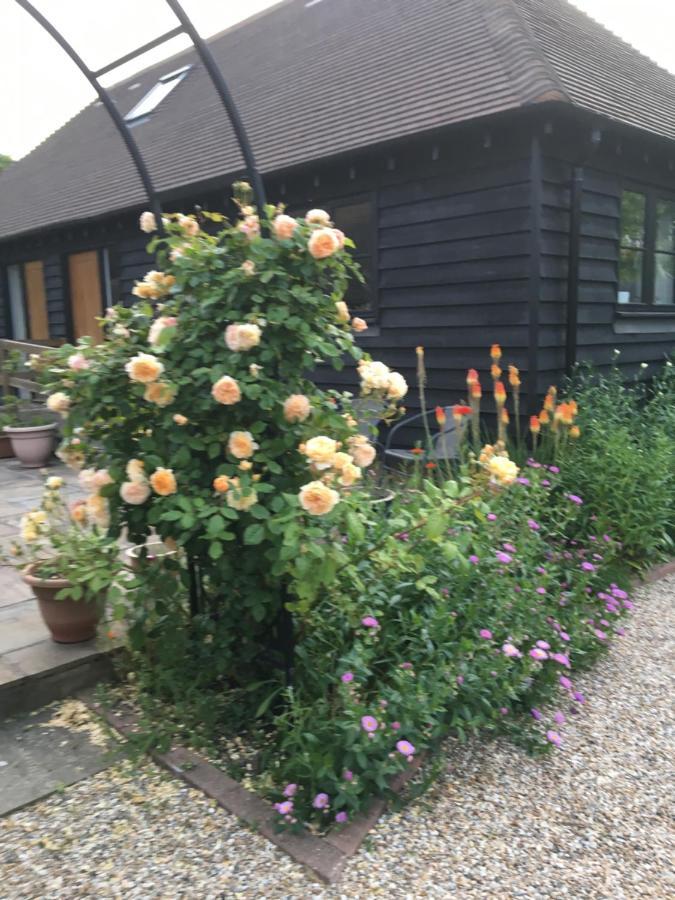 Little Orchard Cottage Canterbury Exterior photo